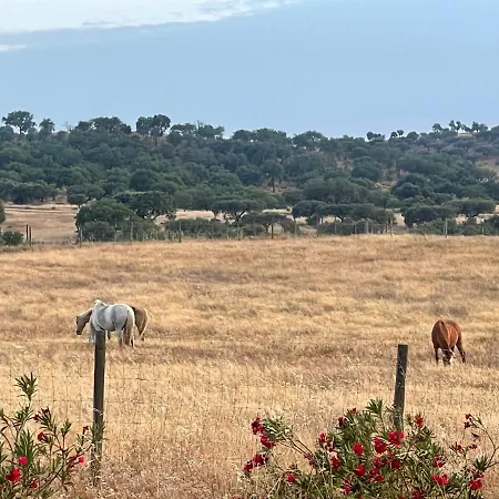 Herdade Do Gizo - Casa Reis-2